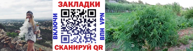 A PVP Сафоново