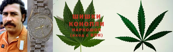 дживик Магас