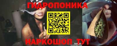 герыч Можга