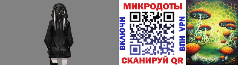 что такое наркотик  Сафоново  Галлюциногенные грибы прущие грибы 