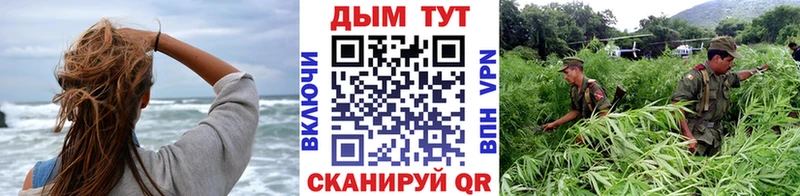 Бошки Шишки марихуана  что такое   Сафоново 